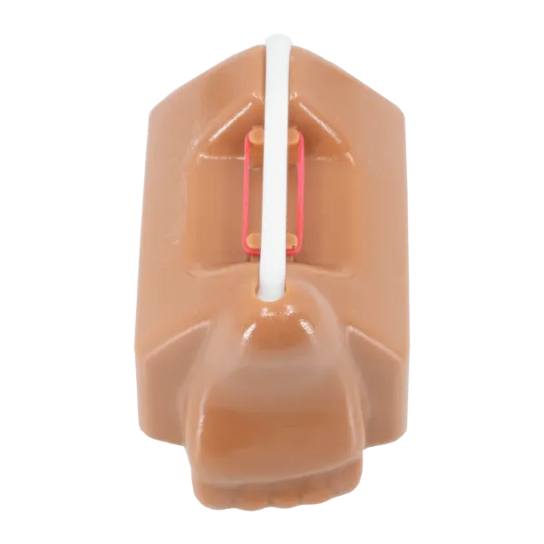 TRAINING_TENOTOMY