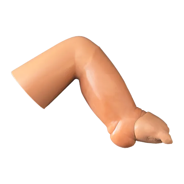 Atypical/Complex Clubfoot Model
